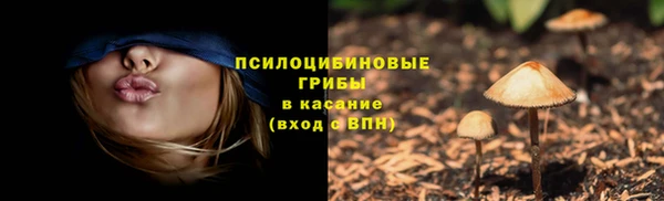 прущий лед Инта