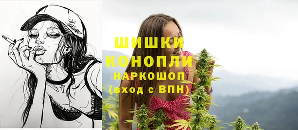 бутират Инсар
