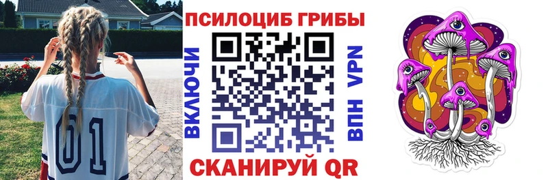 Купить  Облучье  Псилоцибиновые грибы прущие грибы 